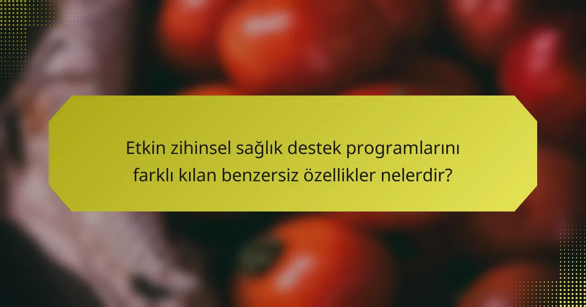 Etkin zihinsel sağlık destek programlarını farklı kılan benzersiz özellikler nelerdir?