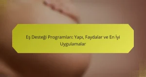 Eş Desteği Programları: Yapı, Faydalar ve En İyi Uygulamalar