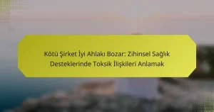 Kötü Şirket İyi Ahlakı Bozar: Zihinsel Sağlık Desteklerinde Toksik İlişkileri Anlamak