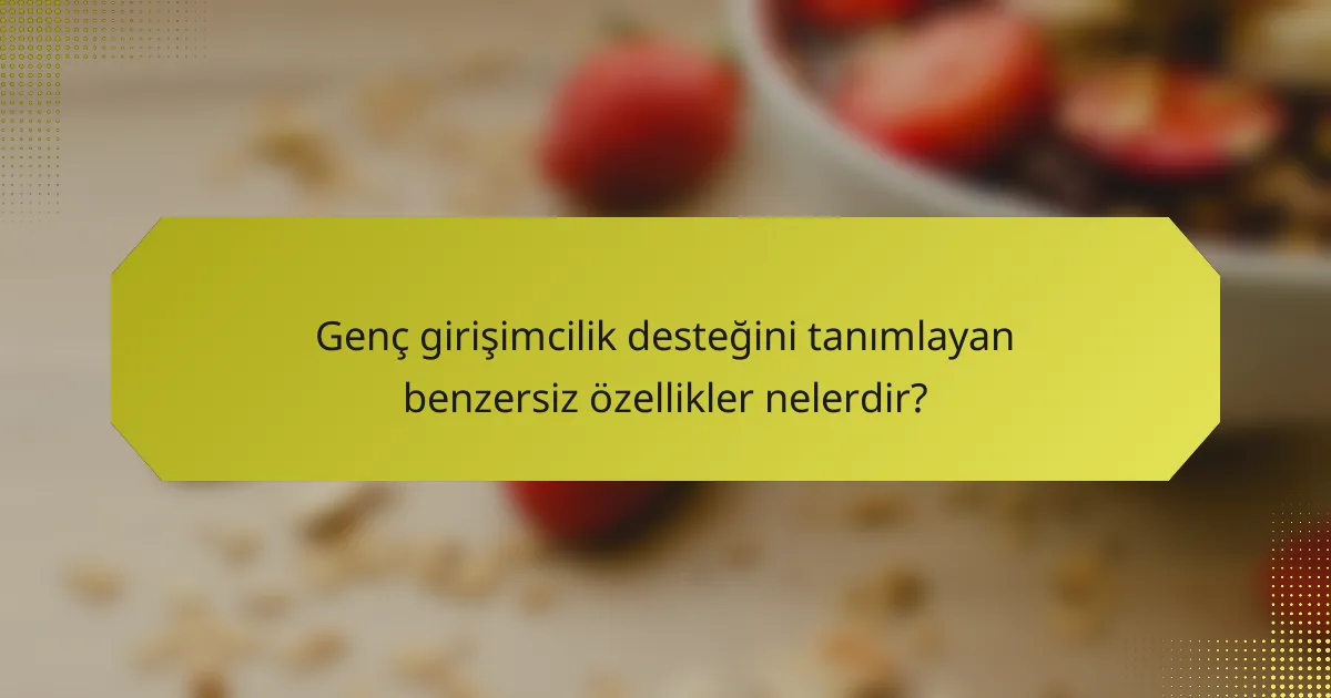 Genç girişimcilik desteğini tanımlayan benzersiz özellikler nelerdir?