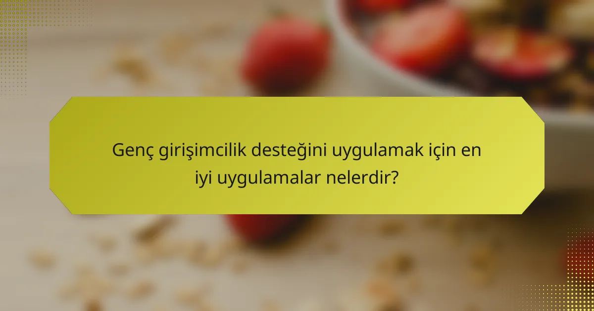 Genç girişimcilik desteğini uygulamak için en iyi uygulamalar nelerdir?
