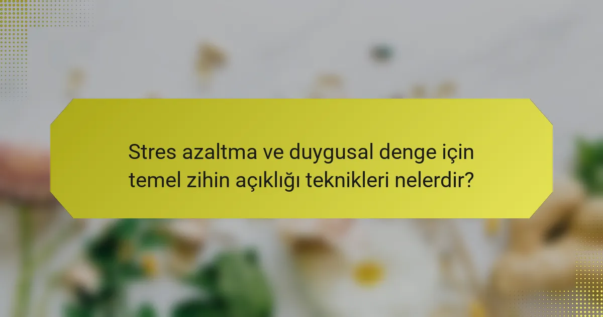 Stres azaltma ve duygusal denge için temel zihin açıklığı teknikleri nelerdir?