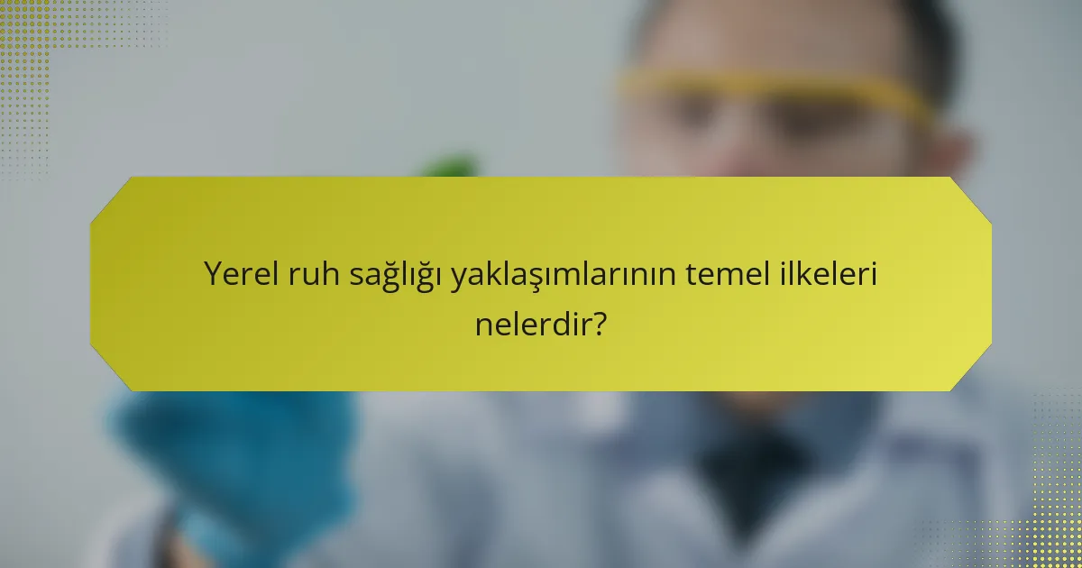 Yerel ruh sağlığı yaklaşımlarının temel ilkeleri nelerdir?